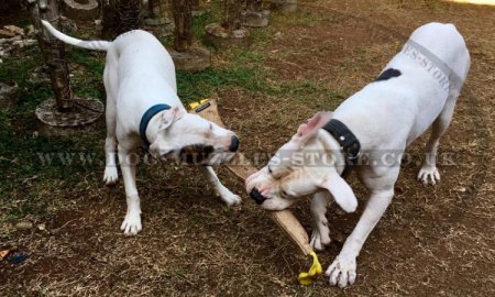 Dog Training Jute Tug with Handles for Biting and Prey Drive