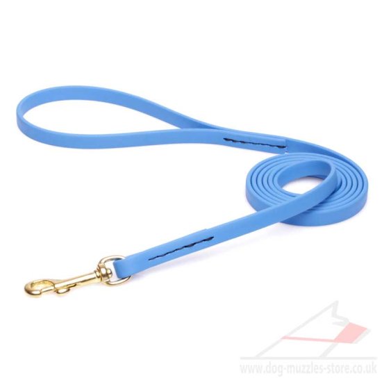 Slim Dog Lead Blue Biothane with a Brass Snap Hook & a Handle