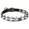 New Stainless Steel Training Pinch Collar, 3.2 mm