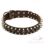 Dog Fashion Collar with Spikes | New Spiked Dog Collar