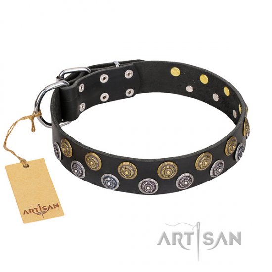 Great Black Dog Collar with Studs FDT Artisan 'Romantic Breeze'