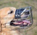 Basket Muzzle for Dog Padded | Golden Retriever Muzzle UK