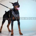 Best Dog Harness with Studs and Padding | Large Dog Harness