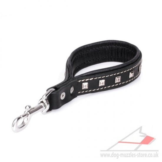 New Short Dog Leash with Chrome Plated Decorations