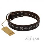 Durable Rock Star Dog Collars from FDT Artisan