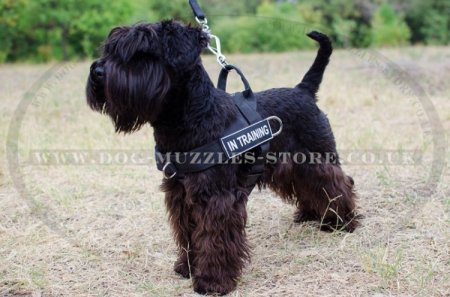 Giant/Miniature Schnauzer Dog Harness No Pull Front Clip