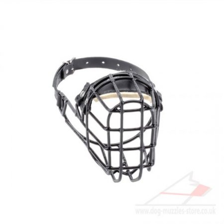 Best English Bull Terrier Basket Muzzle Black Rubber Covered
