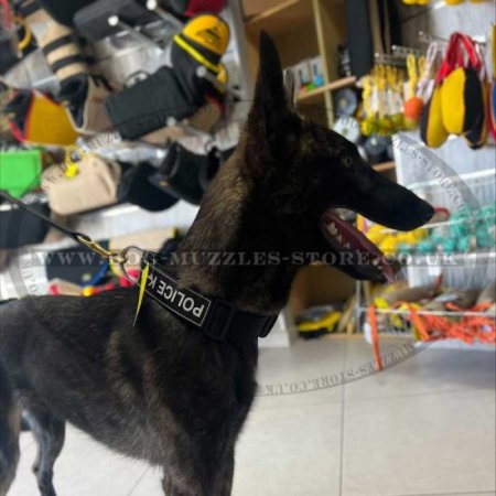 K9 Dog Collar for Dog Training | Service Dog Collars UK