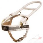 Large Assistance Dog Mobility Harness with Handle