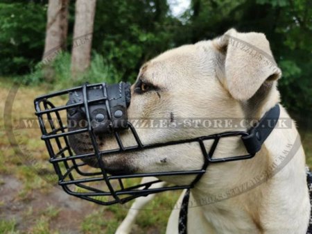 The Best XL Bully Muzzle Size Chart Black Wire Basket