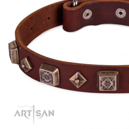 Best Brown Thick Studded Dog Collar FDT Artisan For Active Walk