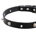 Leather Collar with Skulls and Spikes "Pirate Style"