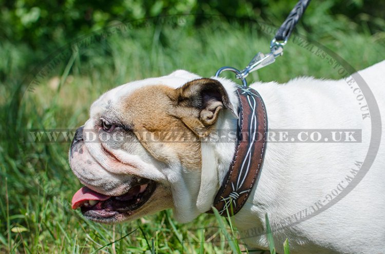 Handmade Dog Collars with Painting Wire for English Bulldog - Click Image to Close