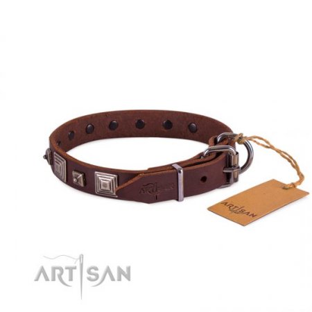 Elegant Brown Studded Dog Collar FDT Artisan 1" Width