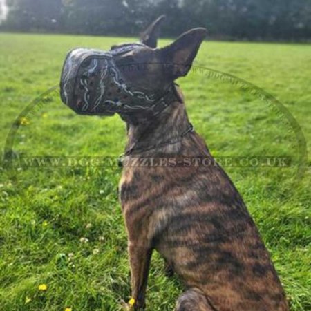 Large Dog Muzzle for Training with Original Hand-Painting