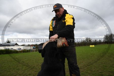 Anti-Scratch Suit for Dog Training with Removable Sleeve