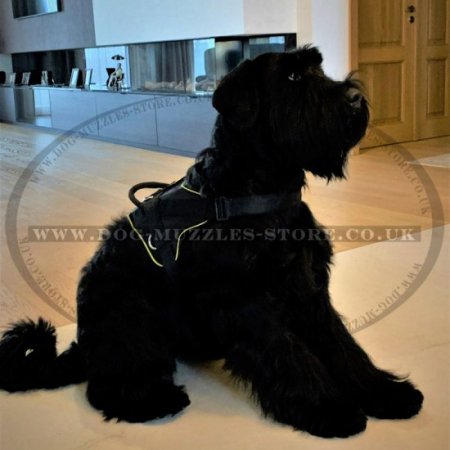 Safe Coated Wire Basket Dog Muzzle for Giant Schnauzer