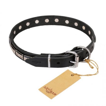 Wonderful Black Leather Dog Collar With Studs FDT Artisan