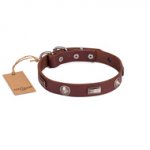 Premium Quality Dark Brown Studded Dog Collar FDT Artisan
