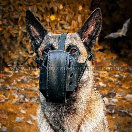 Leather Dog Muzzle for Attack, Agitation and Max Protection