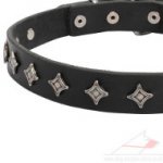 Designer Dog Collar Necklace with Silver Stars