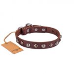 Exclusive Brown Leather Dog Collar With Nameplate UK