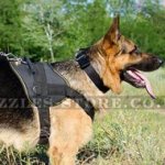 Durable Nylon Dog Harness for German Shepherd Training