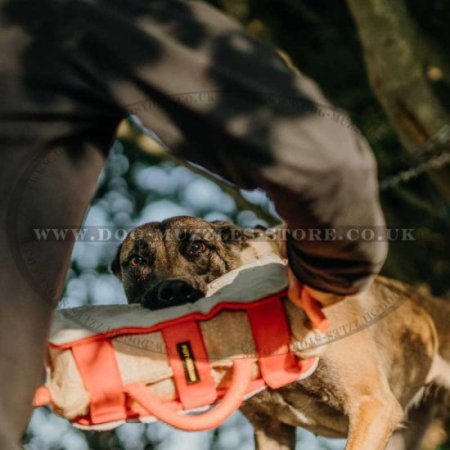 Professional Dog Bite Pad with Leather Cover for Dog Training