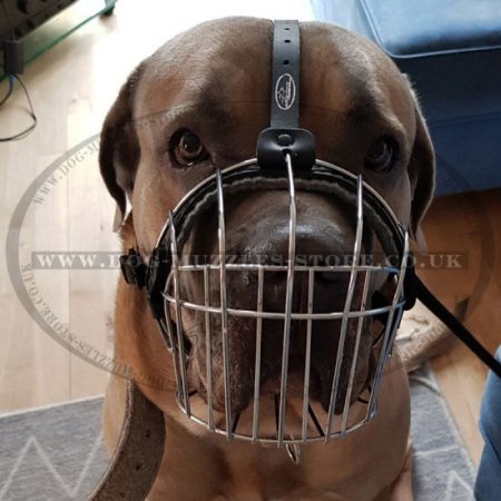 Wire Basket Dog Muzzle for Cane Corsos