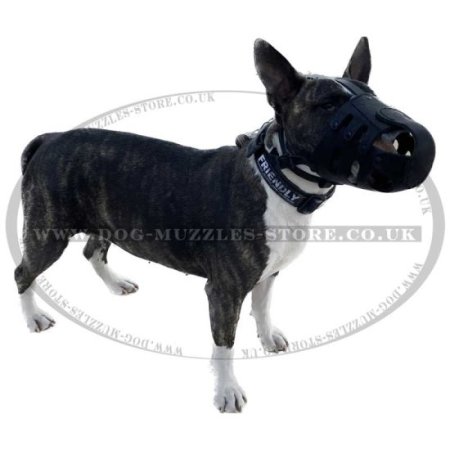 Leather Muzzle for Dogs | Large Dog Muzzle, Leather Basket
