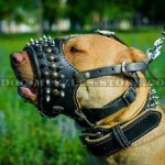 Nappa Padded Dog Muzzle for Pitbull Walking Safely
