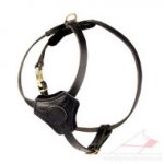 Small Leather Dog Harness UK Favorite for Stylish Dog and Puppy