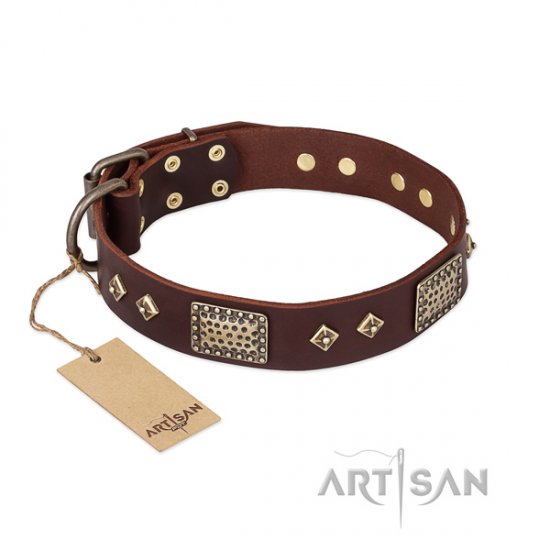 Great Leather Dog Collar with Decorations 'Loving Owner'