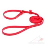 Red Dog Leash and Collar Choker Combo for Large and Small Dogs