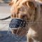 Super Ventilated Shar Pei Muzzle that Allows Drinking