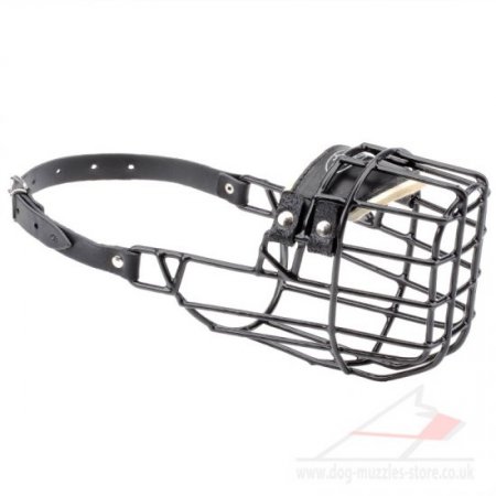 Best English Bull Terrier Basket Muzzle Black Rubber Covered