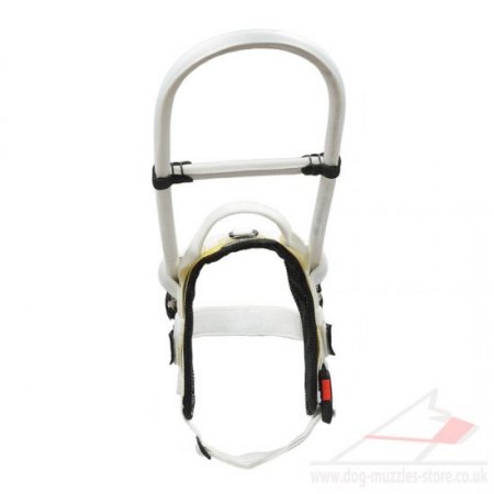 "Your Lifeguard" Comfortable Nylon Guide Dog Harness UK