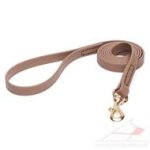 5/6 ft Dog Training Lead K9 Khaki Biothane