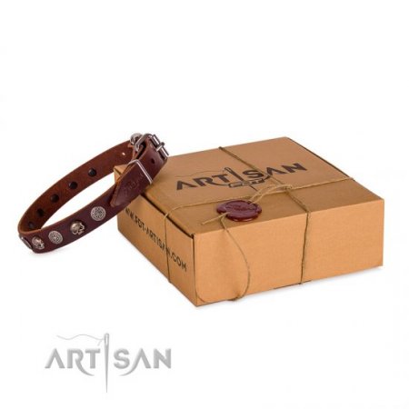 Adorable Dark Brown Leather Dog Collar With Skulls FDT Artisan