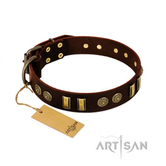 Brown Elegance FDT Artisan Brown Leather Dog Collar with Studs