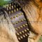 Extra Stylish Warrior Dog Collar with Spikes for German Shepherd