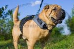 Dog Harness Rain Jacket For Shar Pei | Dog Vest Harness Jacket