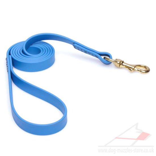 Bright Blue Dog Leash with Handle & Brass Snap 6 ft Biothane