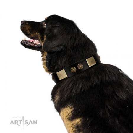 NEW! Black Leather Collar For A Dog "Chicci-Glam" FDT Artisan