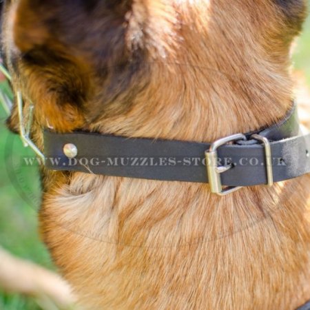 Belgian Malinois Muzzles | Belgian Shepherd Muzzles Best Choice