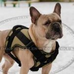 The Best French Bulldog Soft Harness UK New Light Vest