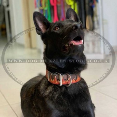 Luxury Handpainted German Shepherd Collars Flame