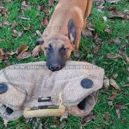 Jute Bite Wedge with Handles for Puppies and Young Dogs Biting