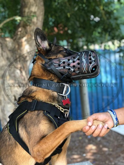 Large Dog Muzzle for K9 Dogs | Belgian Malinois Muzzle Painted