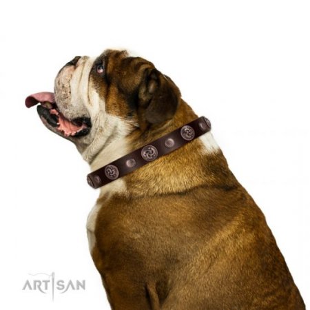 Designer Studded Dog Collar With Round Ornaments FDT Artisan